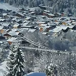 Hotel&spa Le Dahu Hotel